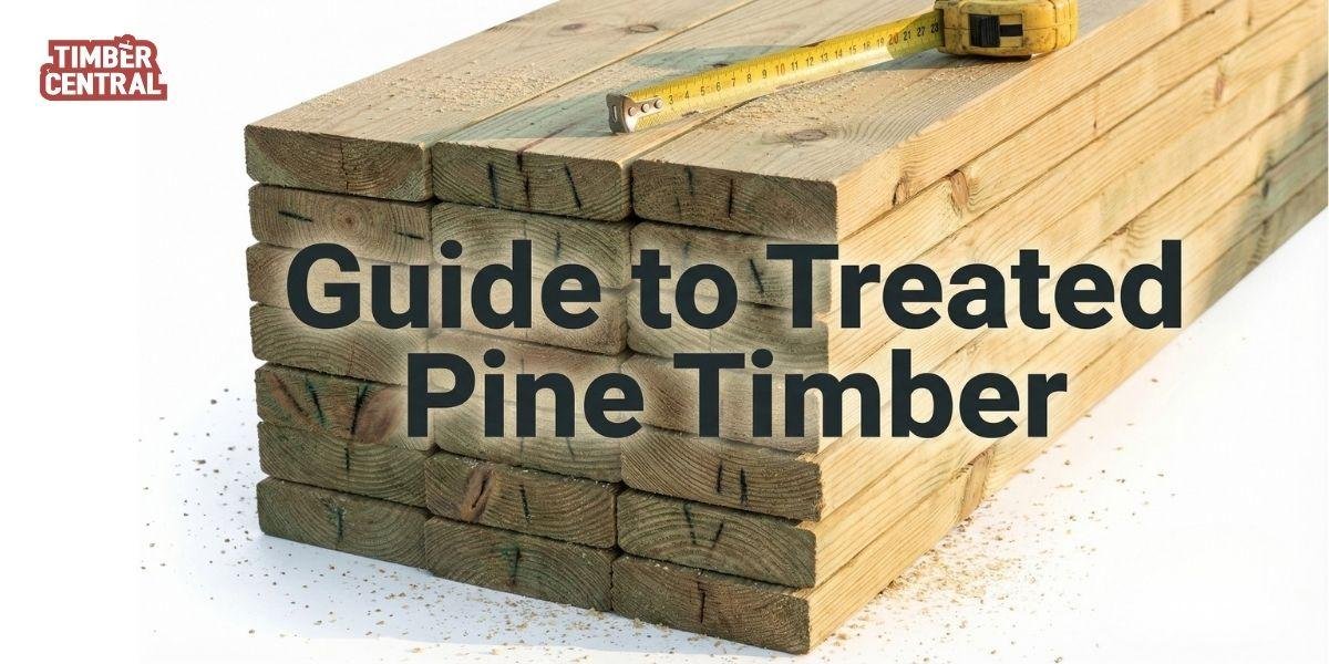 Guide to Treated Pine Timber What Most Builders Don’t Explain