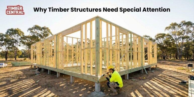 Termite-resistant timber is treated to make it significantly more resistant to termite activity.